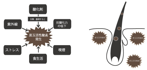 ハイドロクラスターリペアパウダー　イメージ2