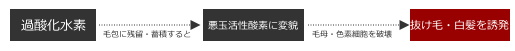 ハイドロクラスターリペアパウダー　イメージ3