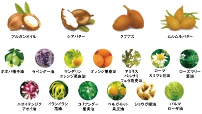 17種類の植物オイル