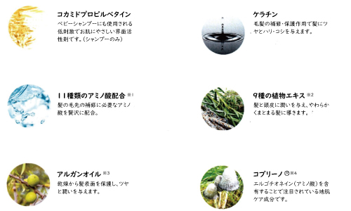 6種類の植物オイル