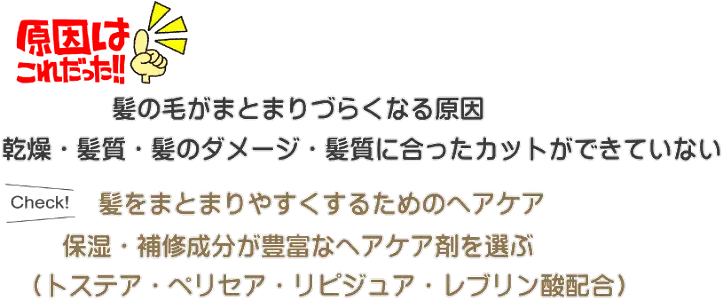 髪の毛がまとまりづらくなる原因
・乾燥・髪質・髪のダメージ・髪質に合ったカットができていない
髪をまとまりやすくするためのヘアケア
・保湿・補修成分が豊富なヘアケア剤を選ぶ
(トステア・ペリセア・リピジュア・レブリン酸配合)