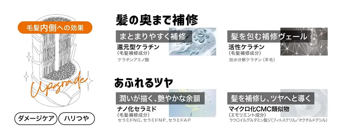 毛髪内側への効果
まとまりやすく補修作用「還元型ケラチン」 ※ ケラチンアミノ酸
髪を包む補修作用ヴェール「活性ケラチン」 ※ 加水分解ケラチン(羊毛)
ポイント② あふれるツヤ
潤いが描く、艶やかな余韻「ナノ化セラミド」※ セラミドNG、セラミドNP、セラミドAP
髪の補修作用と、ツヤへの導き「マイクロ化CMC類似物」※ ラウロイルグルタミン酸ジ