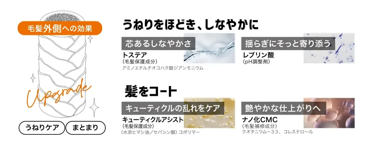 毛髪外側への効果
うねりをほどき、しなやかに
芯のあるしなやかさ トステア ※ アミノエチルチオコハク酸ジアンモニウム
揺らぎにそっと寄り添う レプリン酸 ※ レプリン酸
ポイント② 髪をコート
キューティクルの乱れをケア 「キューティクルアシスト」※ コポリマー (水添ヒマシ油/セバシン酸)
艶やかな仕上がり ナノ化CMC ※ クオタニウム-33、コレステロール