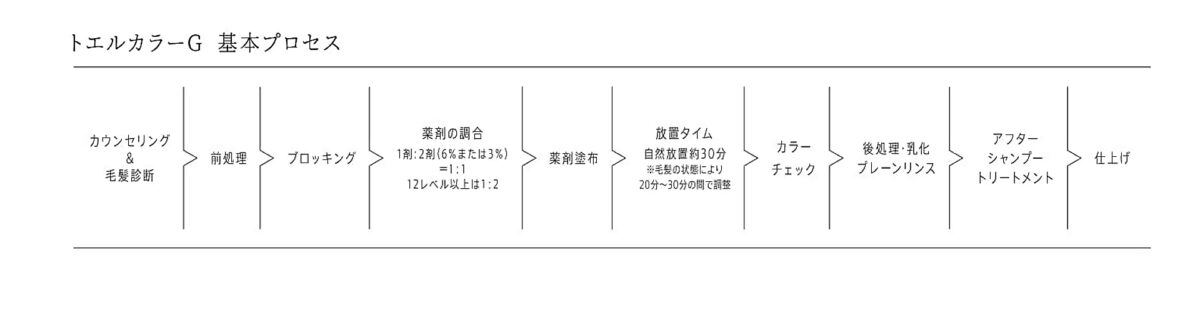 トエルカラーG　基本プロセス