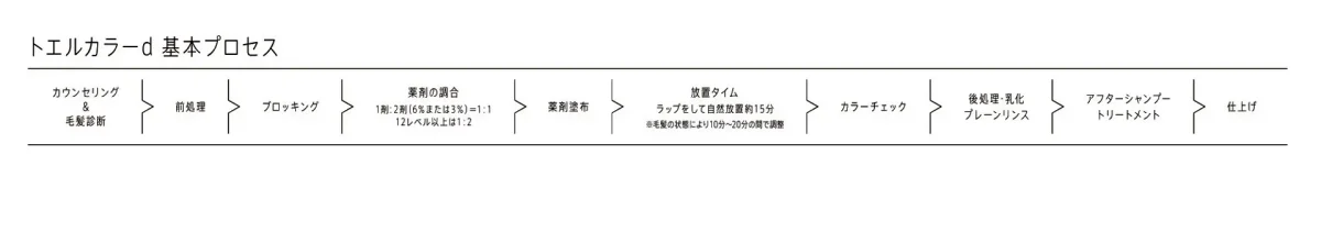 トエルカラーd基本プロセス
