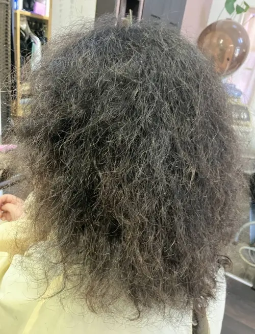 施術前の毛髪状態