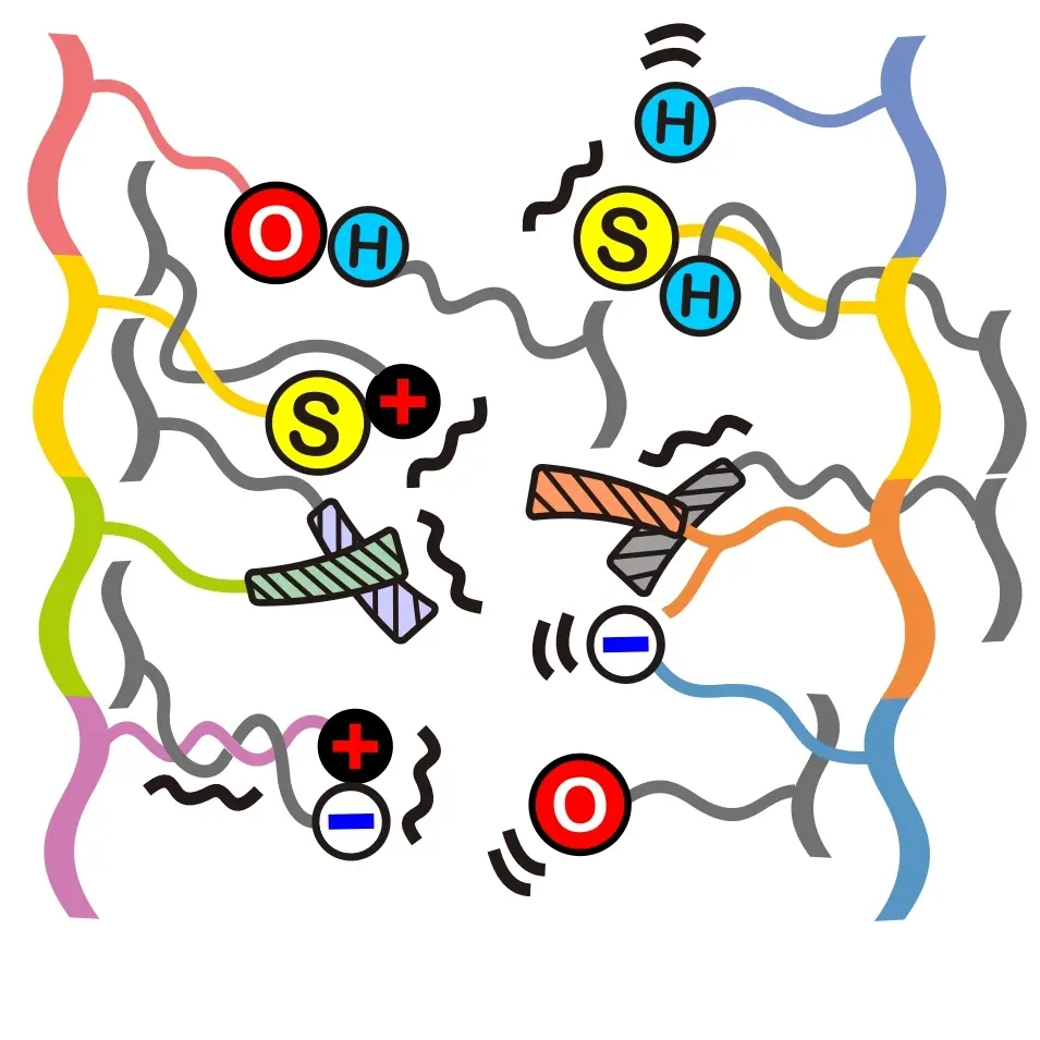 毛髪内:無重力のイメージ
そこで(株)ヌースフイットは、SS結合やその他の側鎖結合において、本来ならその他の側鎖結合から先に再結合するのですが、その再結合をSS結合より先にさせない薬剤を開発したのです。それによって、熱が弱くでも、ロッドも使わなくても、SS結合をうまく使ってコントロールする事でパーマが掛かる仕組みにしたのです。その為、ストレートアイロンでも、SS結合をコントロールする事が出来るのでパーマが掛かるのです。その間、他の側鎖結合は再結合していない状態で、毛髪内で浮遊しているかの様になるので、それを「無重力」と呼んだのです。