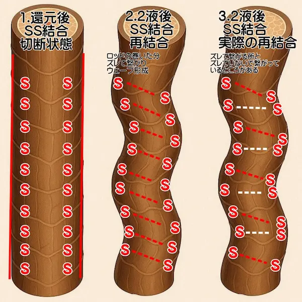 ss結合・２液後の再結合・実際の再結合