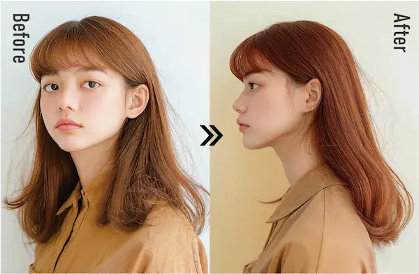 クロマトモデル