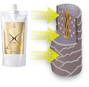 インナートリートメント成分 『エルカラクトン』