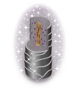 インナートリートメント成分 『エルカラクトン』