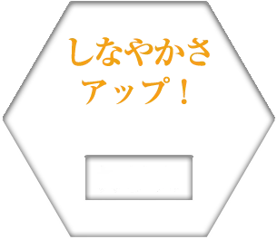 しなやかさアップ