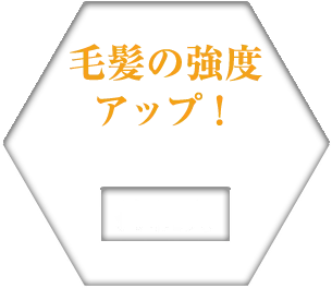 毛髪の強度アップ