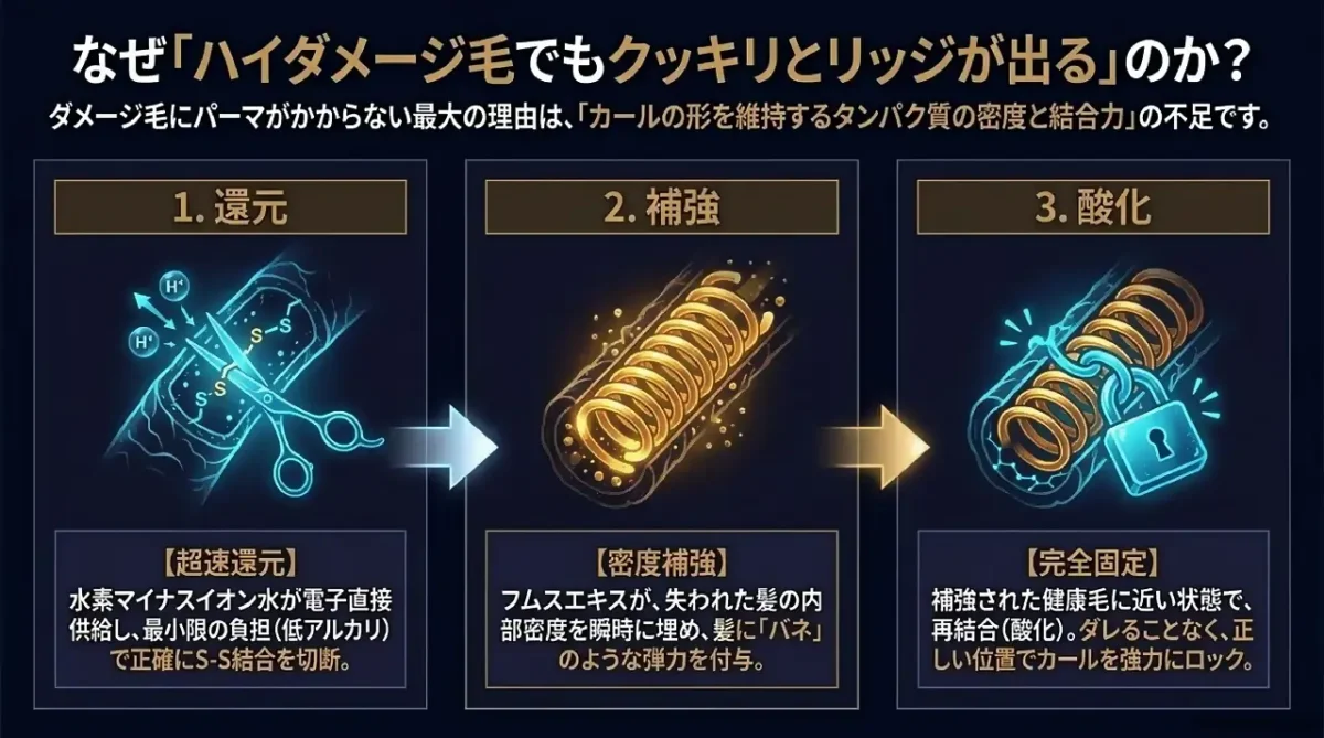 なぜ「ハイダメージ毛でもクッキリとリッジが出る」のか?