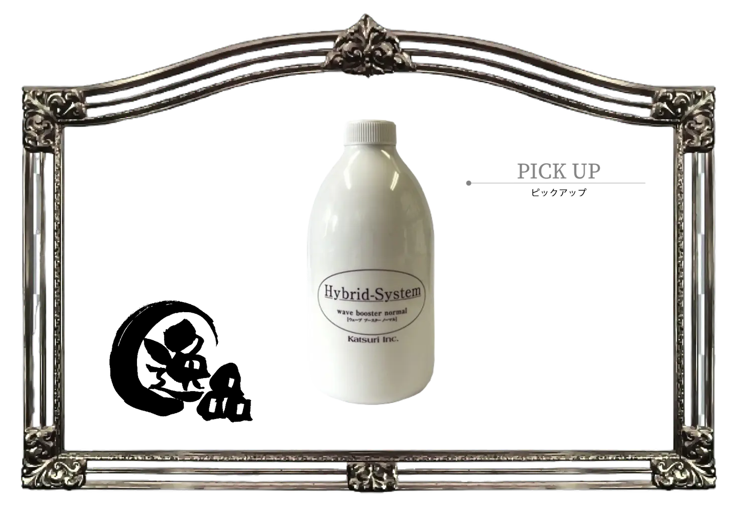 ピックアップ　逸品　ブースターノーマル