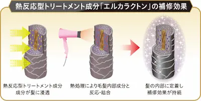 エルカラクトン