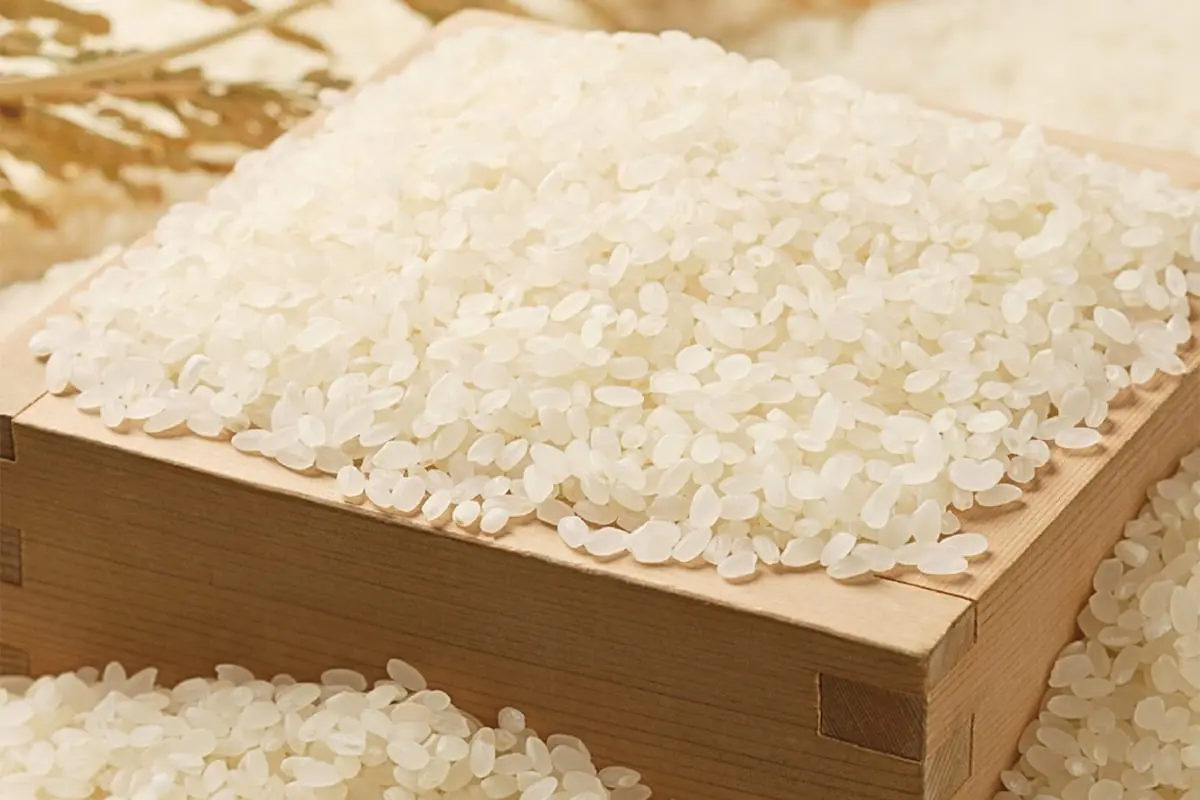 ウェーブキャンセラー