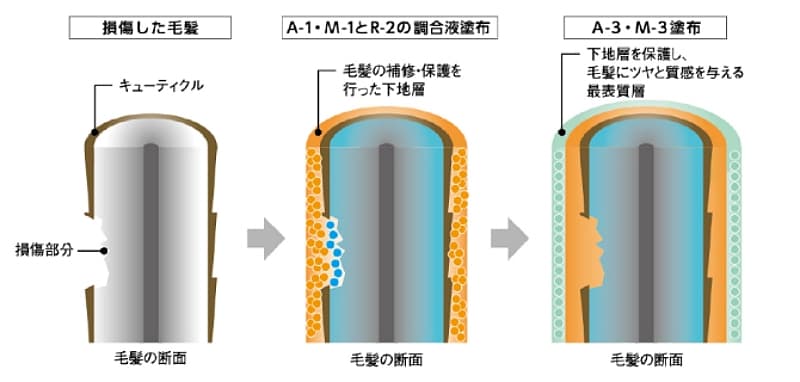複層被膜