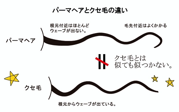 図2・パーマヘアとクセ毛の違い
